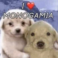 I ❤️ Monogamia / I Love Monogamy