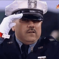 salute officer fap meme