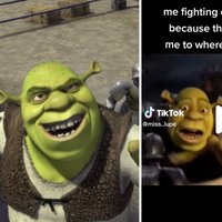Shrek fighting knights meme examples.
