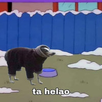 Ta helao dog in sweater image macro