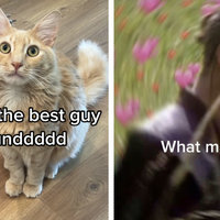 He Was The Best Guy Around tiktok video examples.