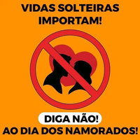 Vidas Solteiras Importam warning poster