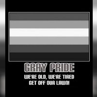 Gray Pride / Grey Pride Gray Pride / Grey Pride meme example depicting a gray rainbow flag.