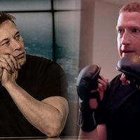 Elon musk and mark zuckerberg in boxing gloves.