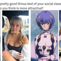 Litmus Test For Social Class / Which Is More Attractive?