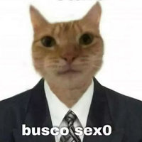Busco Sexo meme depicting a cat wearing a suit and tie.