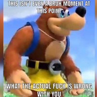 banjo bear reaction image this isn't even a bruh moment at this point meme example