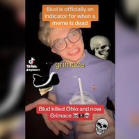 CG5 Ruins Memes tiktok video example.