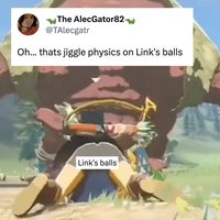 Link's Balls link's balls legend of zelda tears of the kingdom screenshot and tweets.
