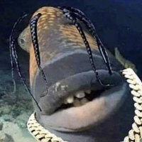 travis scott fish meme
