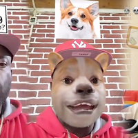 Which Bomboclaat Dog I Am meme from TikTok