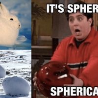 GameSphere / "It's Spherical!" GameSphere / "It's Spherical!"