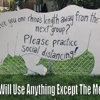 Americans Will Use Anything Except The Metric System meme example depicting a rhino being used as a measurement tool.