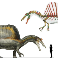 Spinosaurus