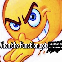 When the Function Got meme