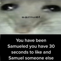 You Have Been Samueled