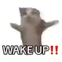 Wake Up It's the First of the Month meme