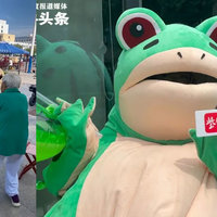 Chinese Frog Mascot Chinese Frog Mascot