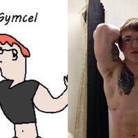 Gymcel
