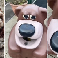 Is That Freddy Fazbear meme