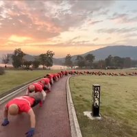 An image depicting the Crocodile Crawl / Crocodile Walk trend.