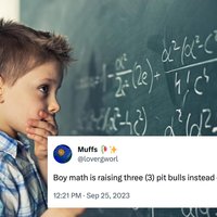 Boy Math / Girl Math trend and slang term depicting an image of a boy doing math with a boy math joke in a tweet.