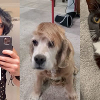 Because Tonight Will Be The Night That I Will Fall For You cause tonight will be the night that i will fall for you meme