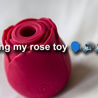 I'm Using My Rose Toy meme