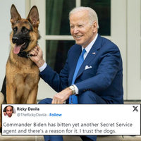 A photo of Joe Biden and his dog Commander Biden and a tweet commenting on him biting people.