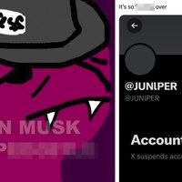 JUNlPER Twitter Ban and her "Elon Musk Is A Pedophile" tweet.