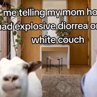 Rambling Goat and Huh? Cat / Goat Cat tiktok meme.