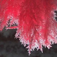SCP-009 / Red Ice red ice
