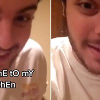 Bananies And Avocadies bananies and avocadies original vine