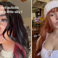 You're Not Autistic, You're Just a Little Silly You're Not Autistic You're Just a Little Silly TikTok meme.