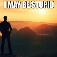 I May Be Stupid