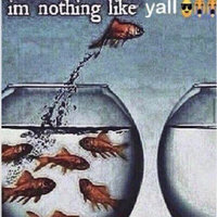 I'm Nothing Like Y'all meme.