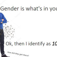 Gender Is What's In Your Pants meme example.