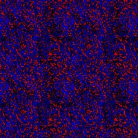 Fireblu Fireblu texture from Doom (1993)