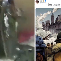 A screenshot from the viral frog video and a reaction meme to it.