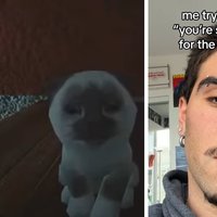 Markiplier's "You're So Portuguese" Markiplier You're So Portuguese meme and tiktok trend.