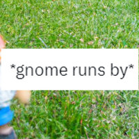 A Gnome Runs Past Me