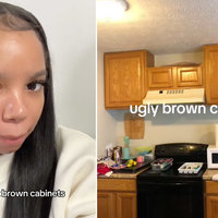 Brown Cabinets TikTok Girl and Stigma explained.