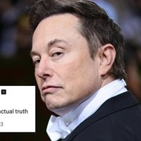 Elon Musk great replacement theory actual truth tweet