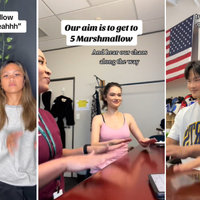 The Marshmallow Game / Check It Out Woo (TikTok)