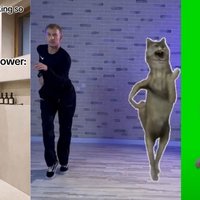 Dancing Wolf meme depicting examples from tiktok.