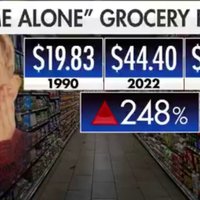 Home Alone Grocery Prices