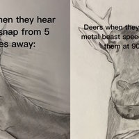 deer when a twig snaps vs deer when two tons of steel are coming at them meme