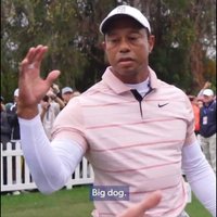 Tiger Woods, dapping someone up -- subtitle reads "Big dog." / big dog meme.