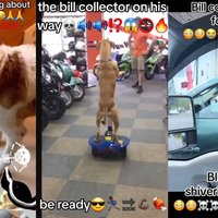 Bill Collector tiktoks