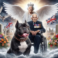 Images about the XL Bully Dog Ban in the UK.